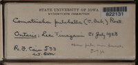 Image Associated With the Occurence